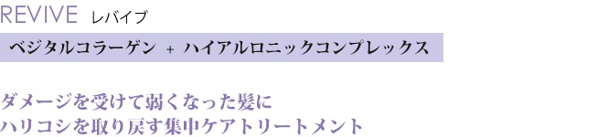 REVIVE レバイブ ベジタルコラーゲン + ハイアルロニックコンプレックス ダメージを受けて弱くなった髪にハリコシを取り戻す集中ケアトリートメント